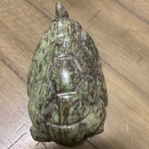 Fruit serpentine turtle. - Picture 4 of 7